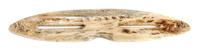 Inuit Carved Bone Snow Goggles Length 8 inches — 19th Century