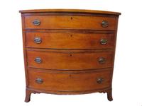 Federal bow front figured maple chest new england, circa 1800