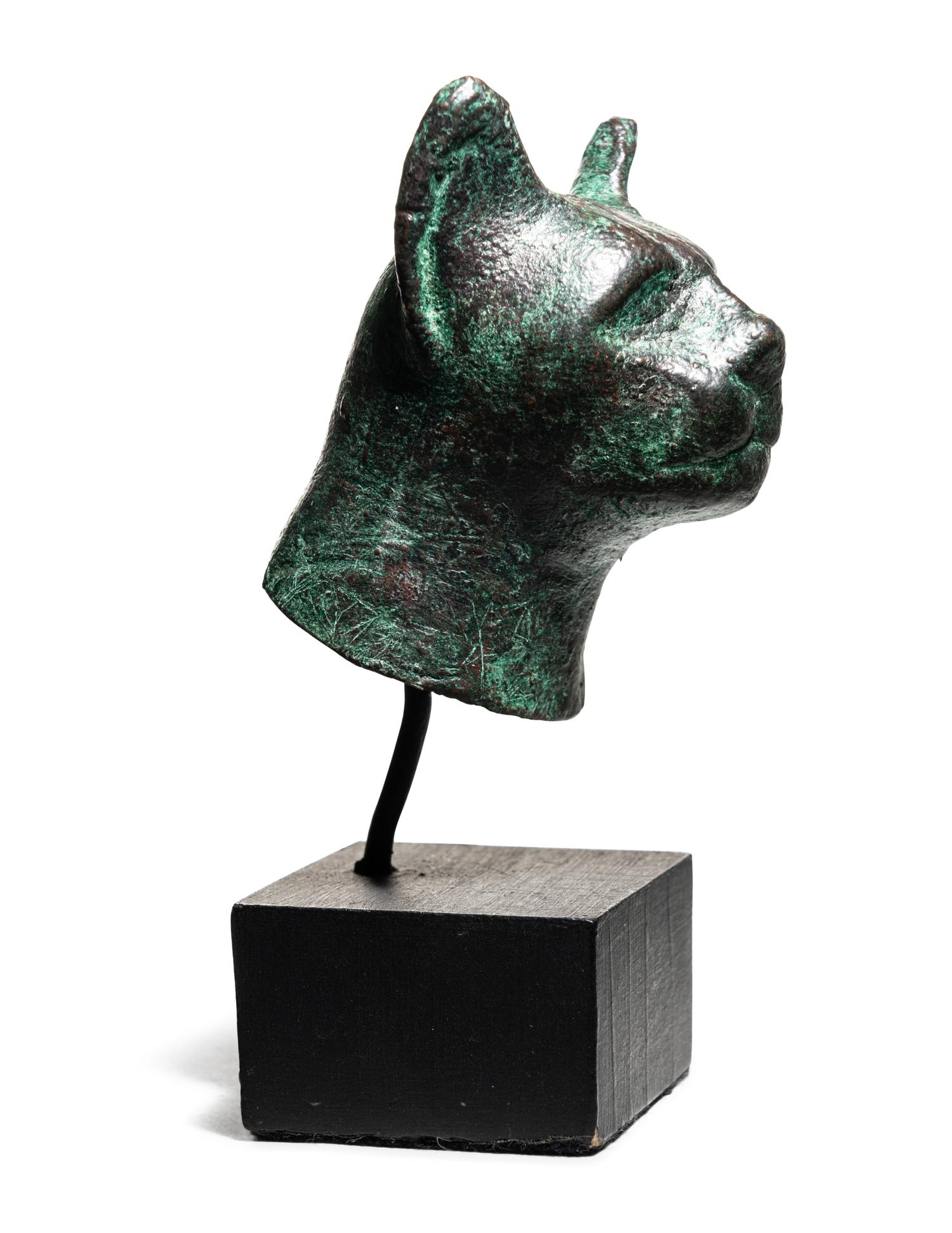 An Egyptian Bronze Cat Head