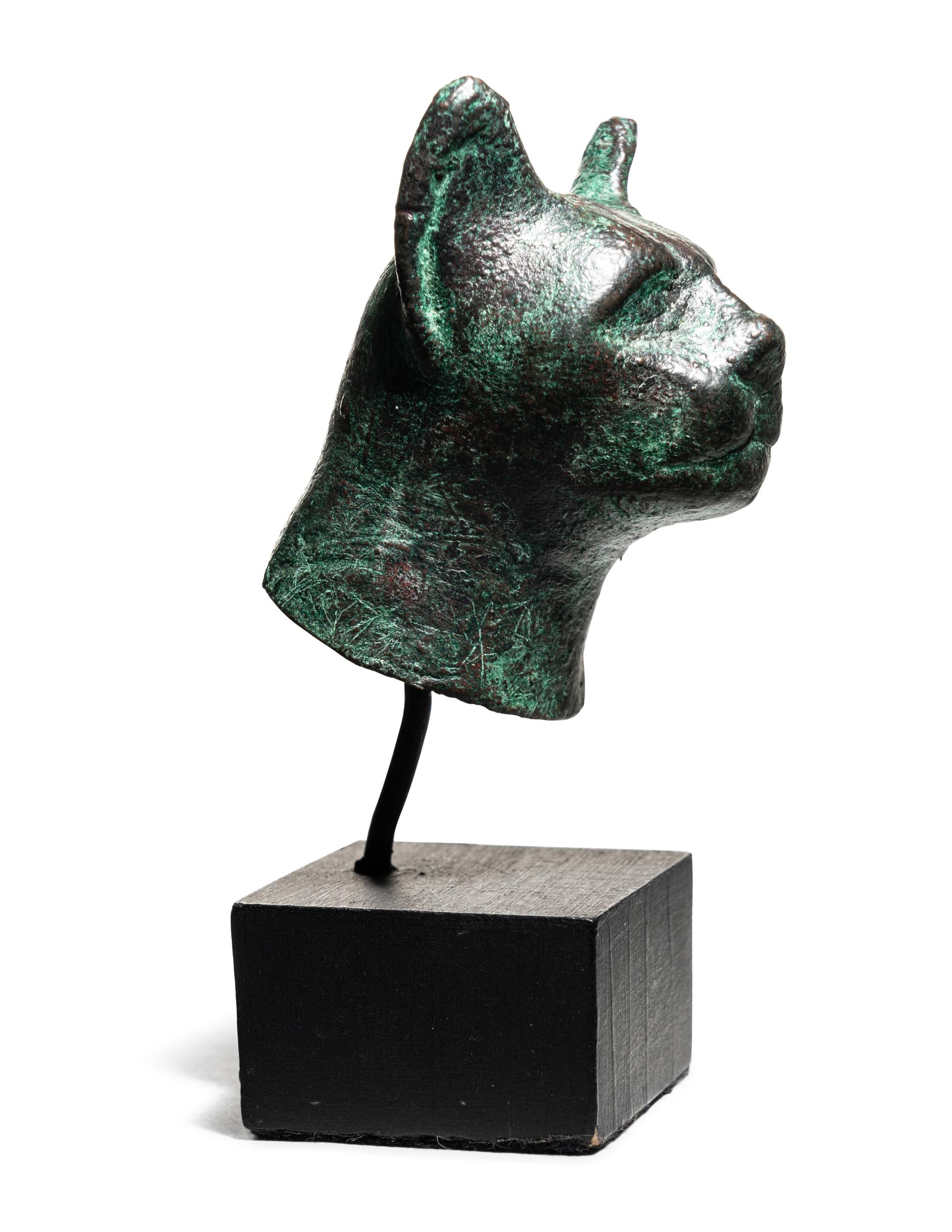 An Egyptian Bronze Cat Head