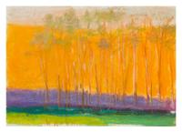 Wolf Kahn, (Amercian/German, b. 1927), Lower Corners Green and Yellow, 2000