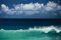 A group of ten photographs from the Creation Portfolio (one duplicate image)