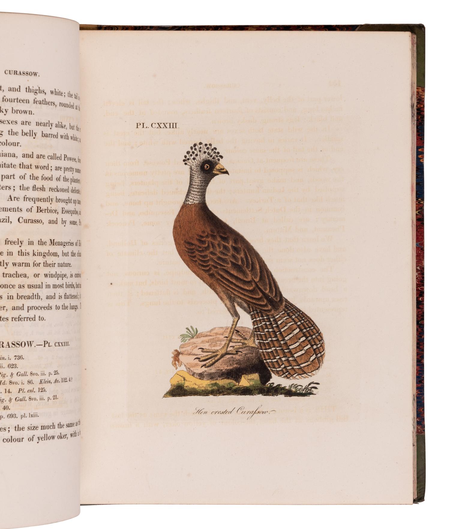 [NATURAL HISTORY]. LATHAM, John (1740-1837). A General History of Birds . Winchester: Jacob and Johnson for the author, 1821-1828.