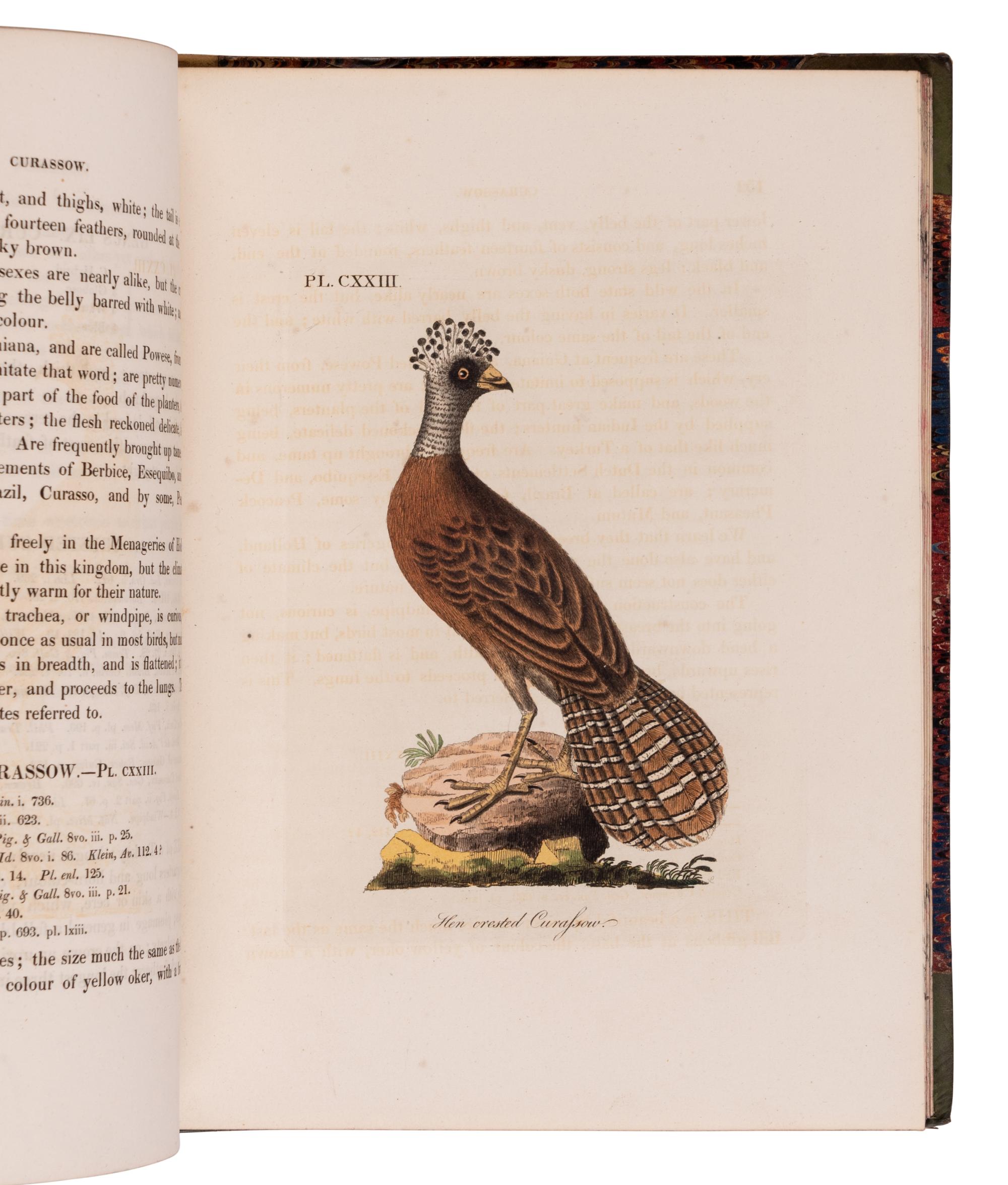 [NATURAL HISTORY]. LATHAM, John (1740-1837). A General History of Birds . Winchester: Jacob and Johnson for the author, 1821-1828.