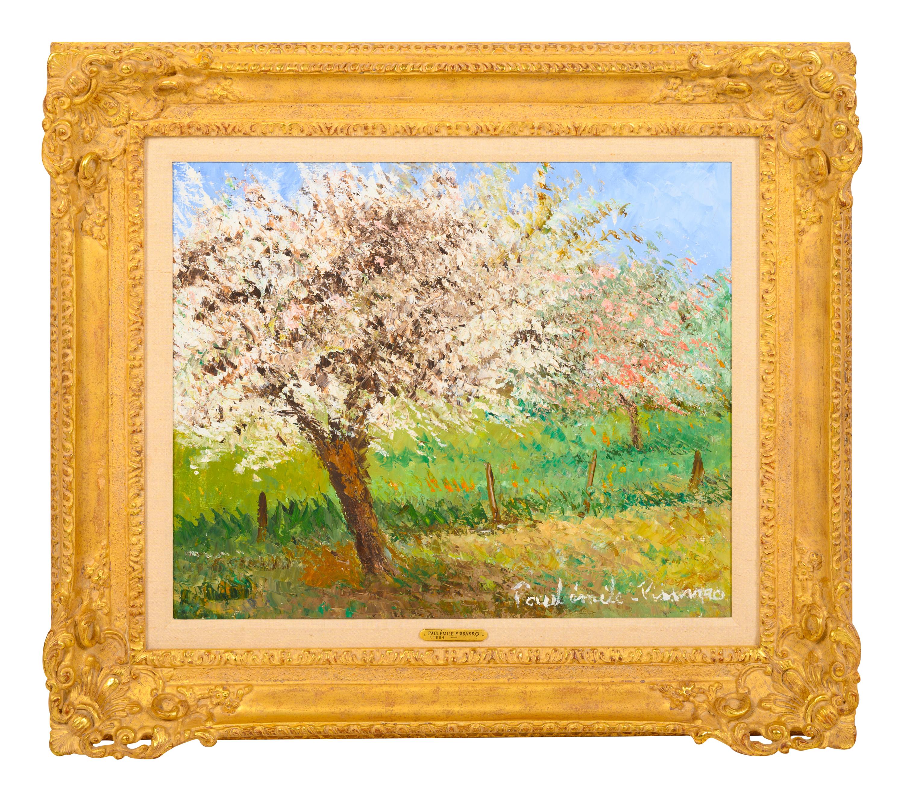 Pommier en fleurs