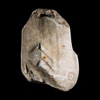 A Roman Marble Support Fragment in the form of a Dolphin