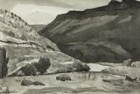In the Rio Grand Canyon