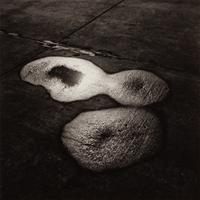 A group of eight photographs ( Untitled #47; #57; #63; #67; #70; #73; #76; #83 ), 1935-1939 (printed later)