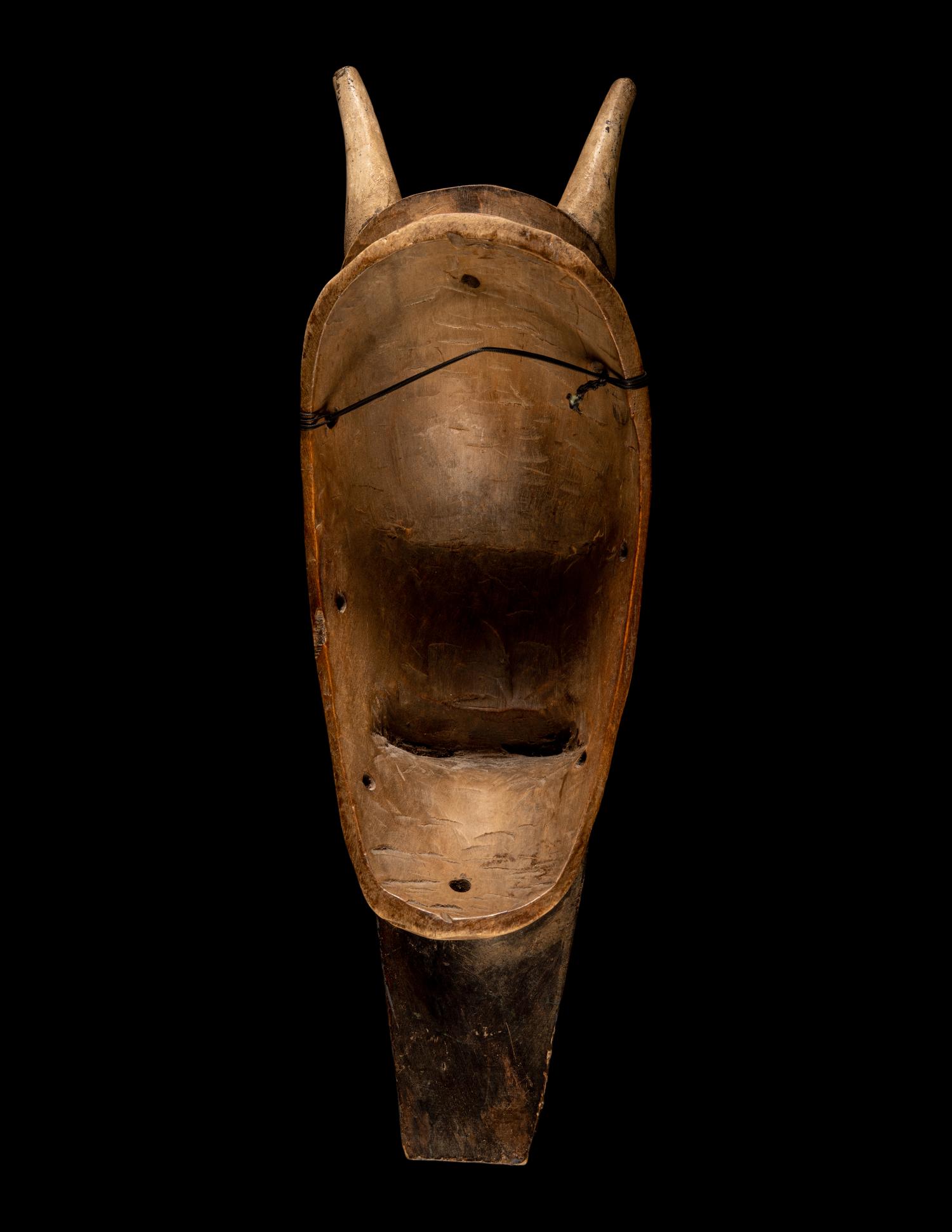 Two Senufo Wood Helmet Masks (Kponyugo)
