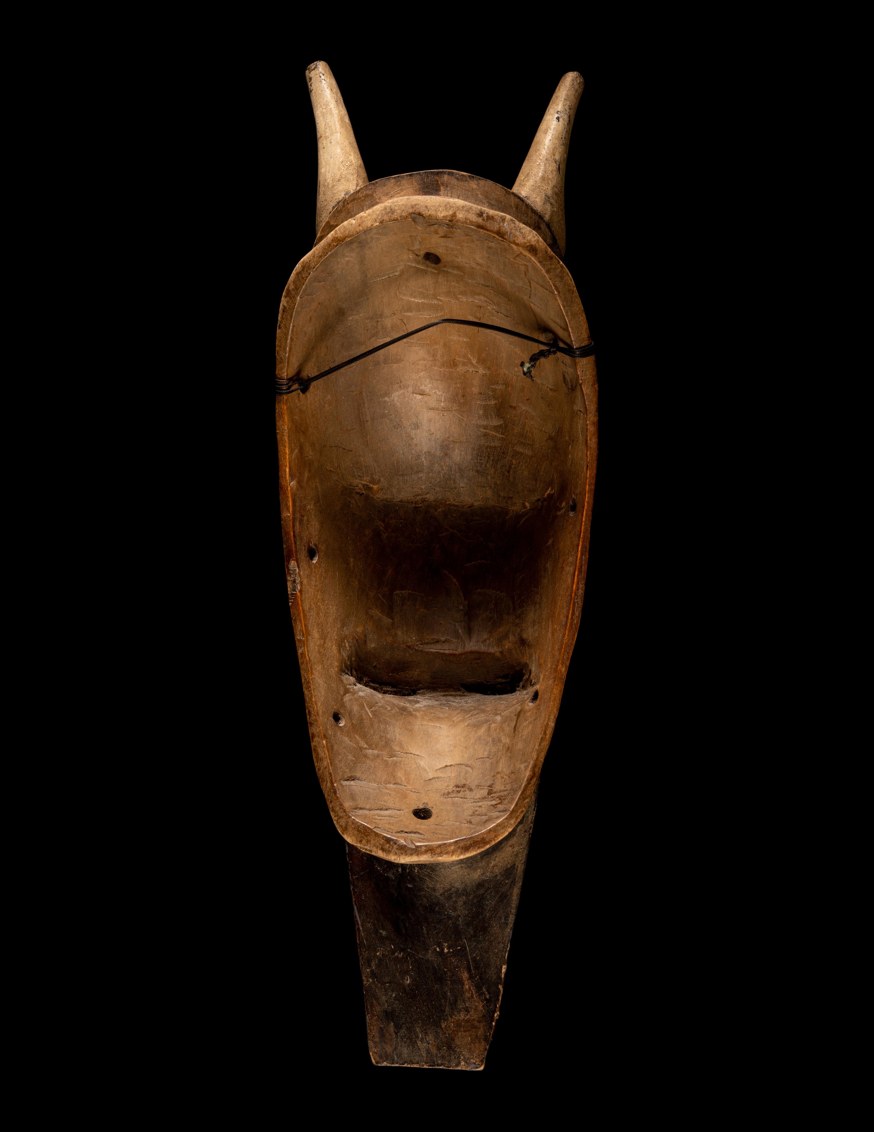 Two Senufo Wood Helmet Masks (Kponyugo)