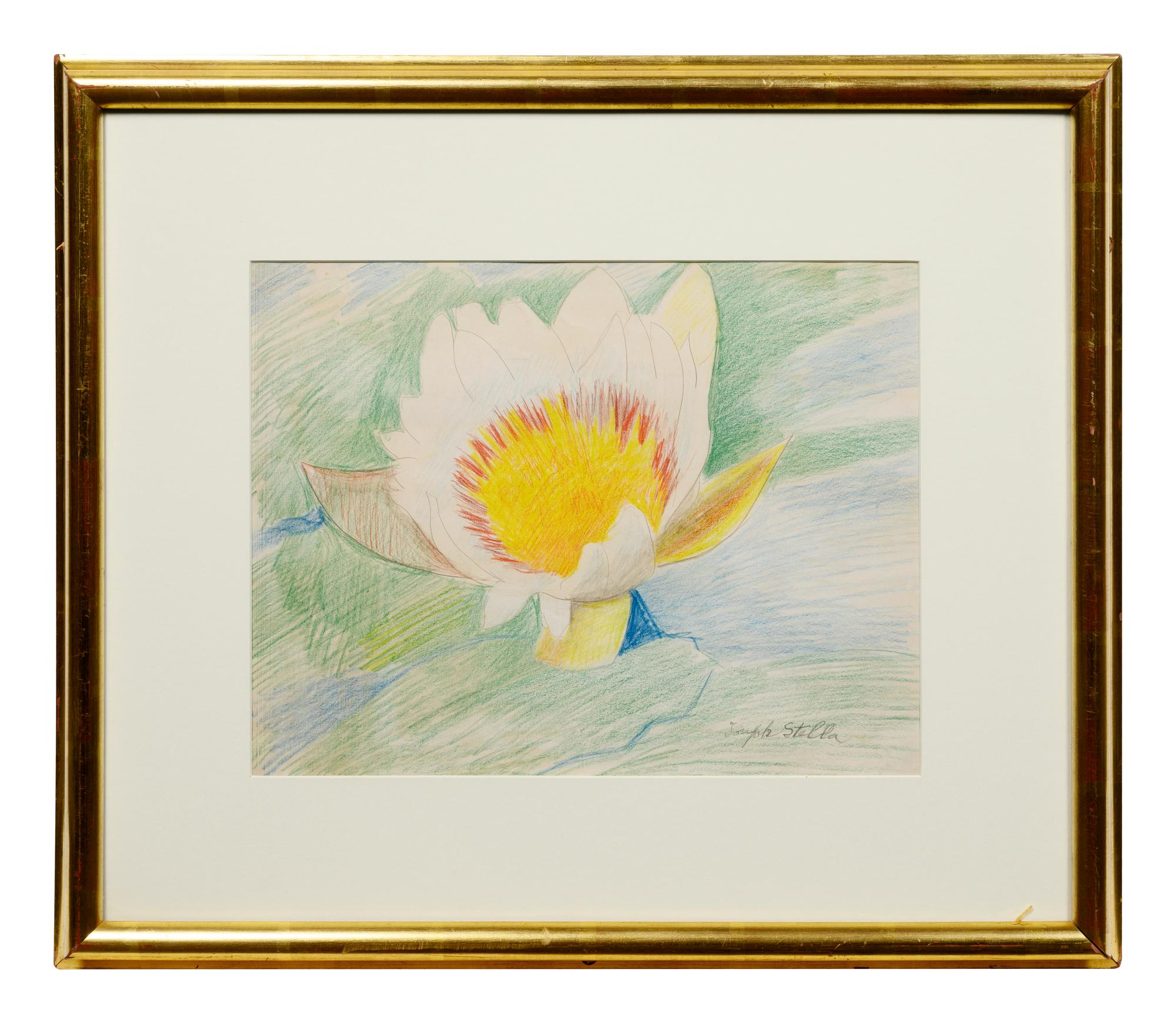 Waterlily
