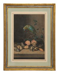 A Parrot with Shells and Roses
