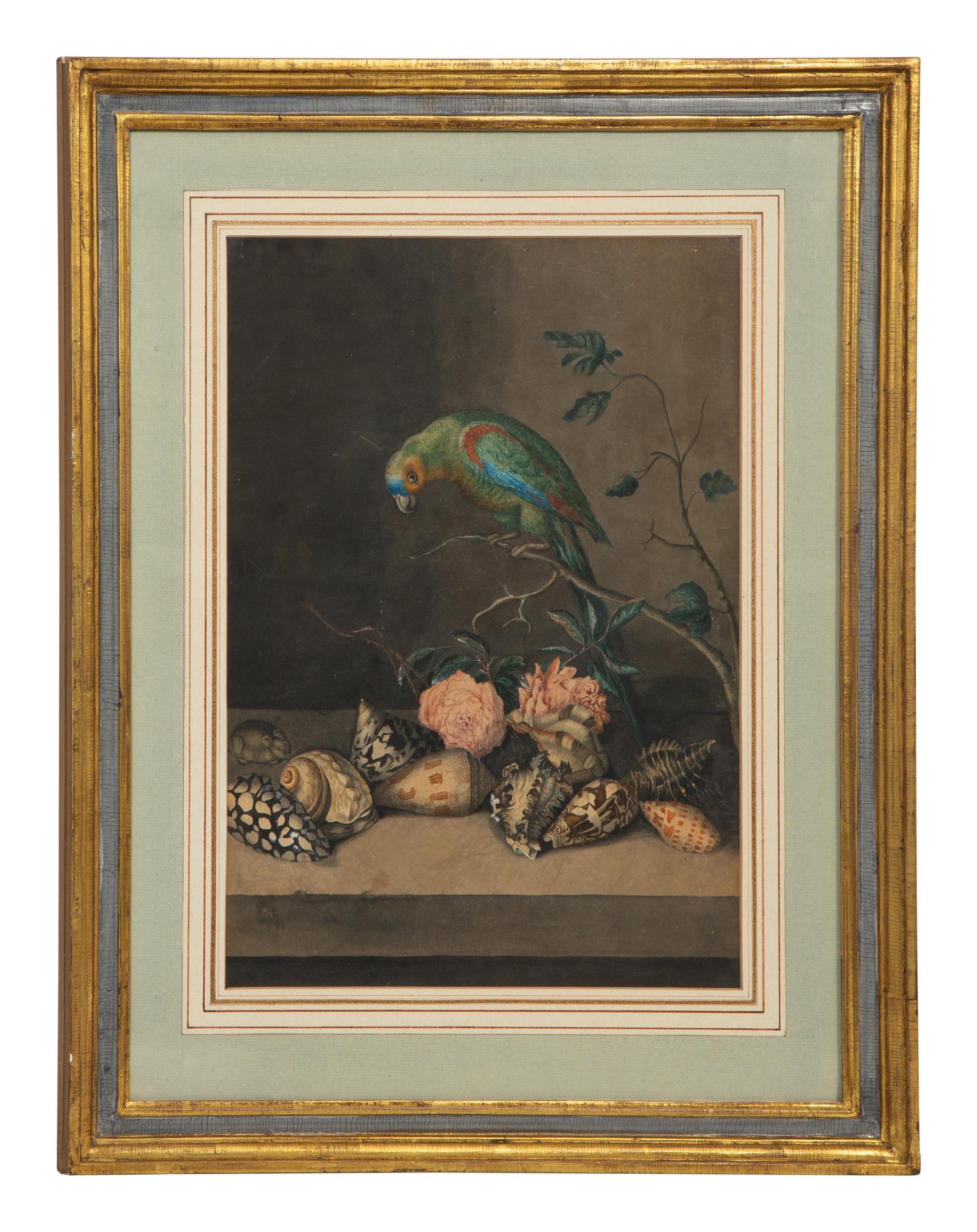 A Parrot with Shells and Roses
