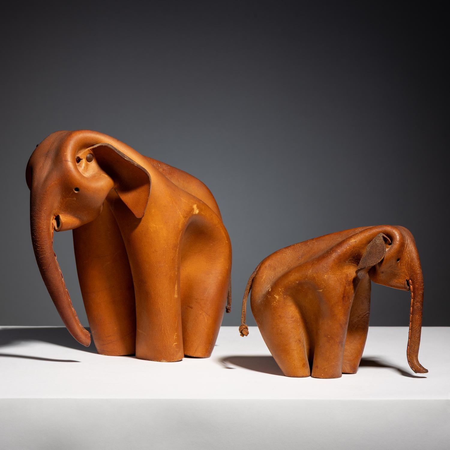 Two elephants