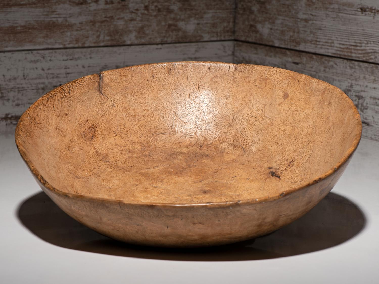 Algonquin Elm Burl Bowl