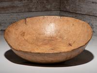 Algonquin Elm Burl Bowl