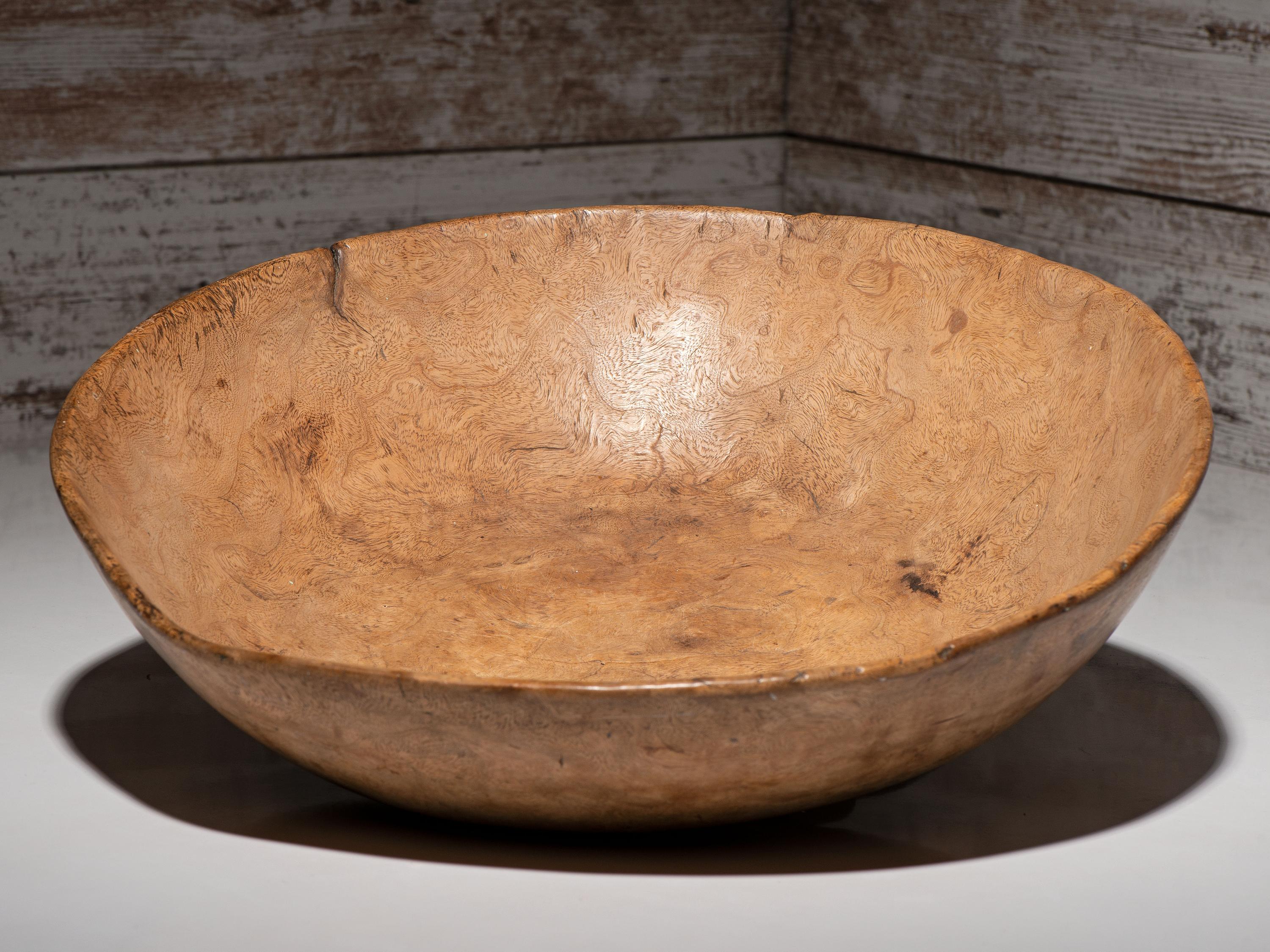 Algonquin Elm Burl Bowl
