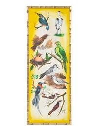 Various Birds on Branches