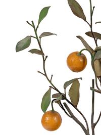 A Tôle Lemon Tree