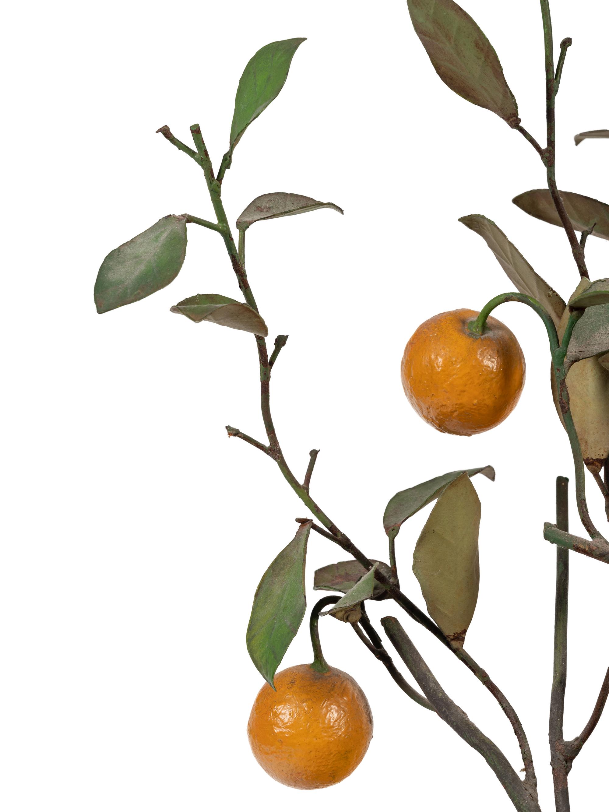 A Tôle Lemon Tree