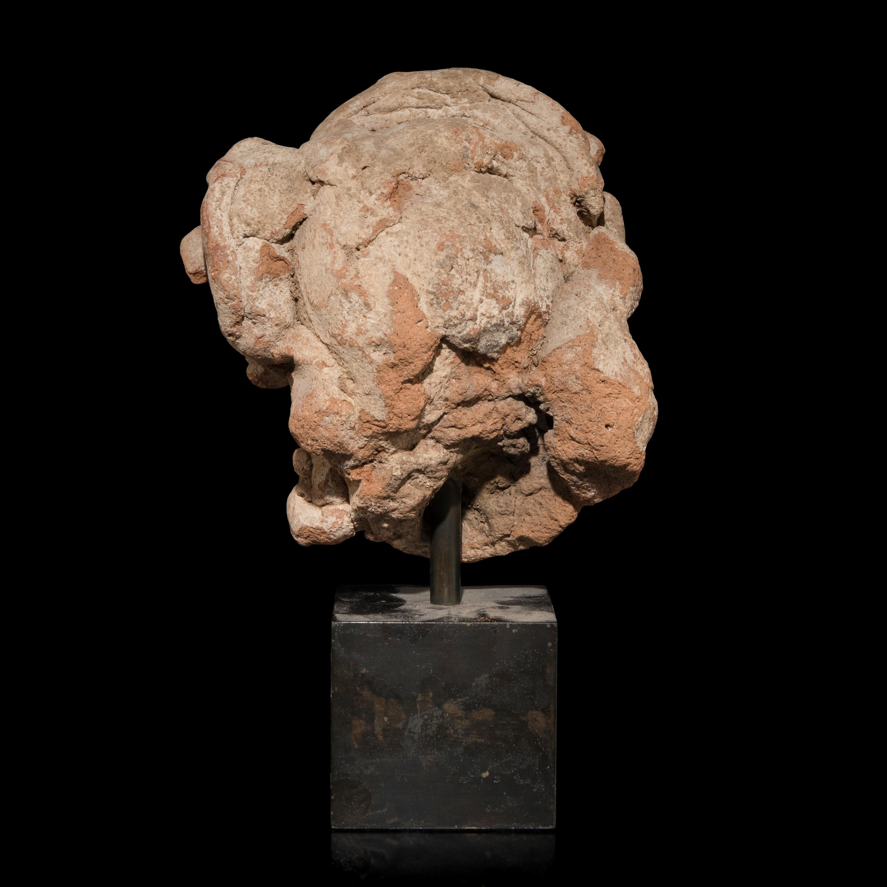 A Gandharan Terracotta Head 犍陀羅灰陶泥塑佛頭