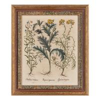 A Group of Five Framed Hand-Colored Botanical Engravings