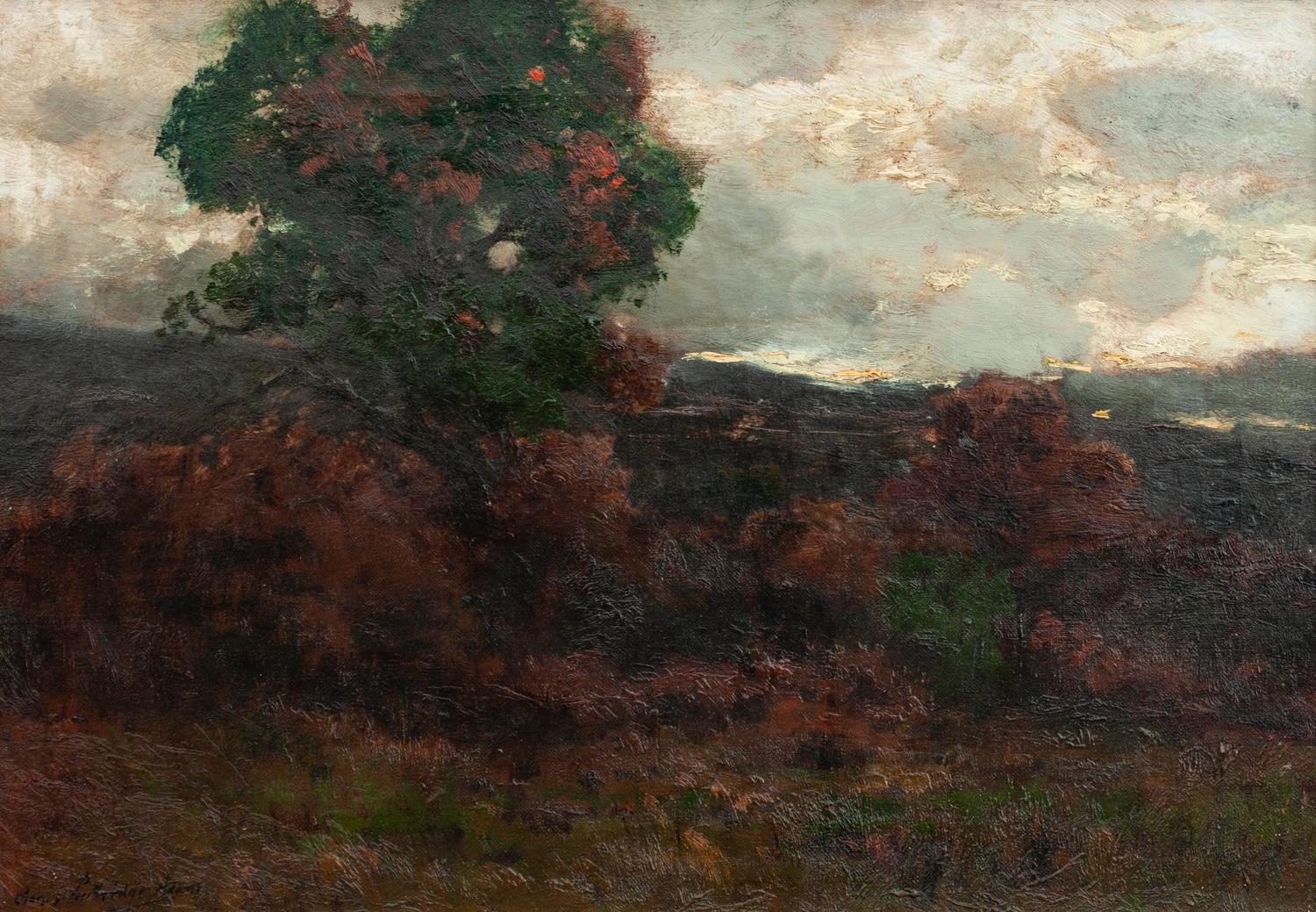 Evening Twilight