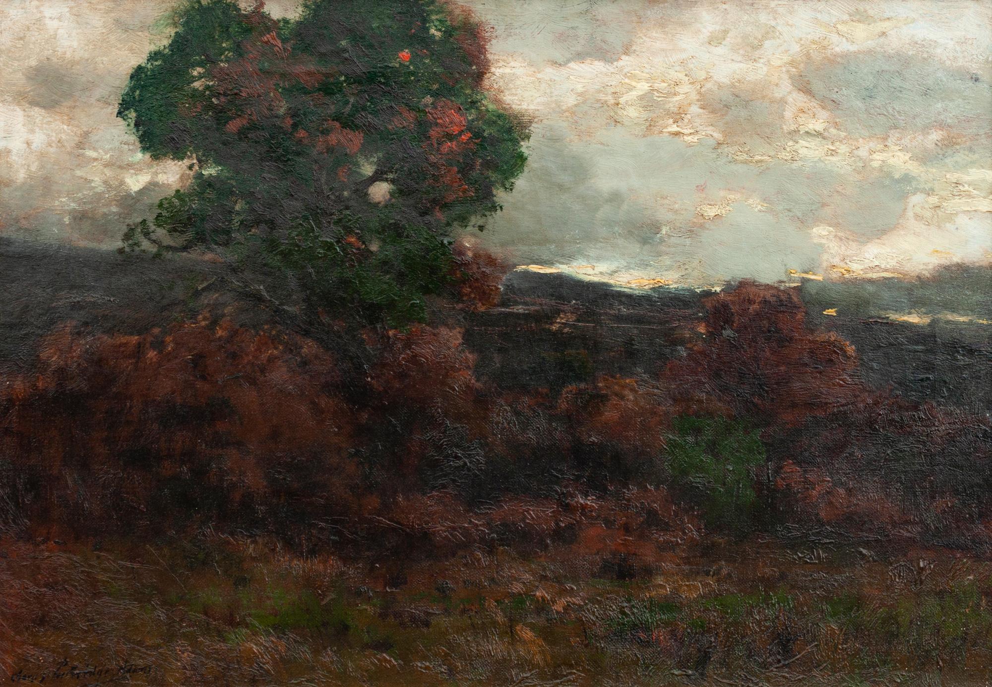 Evening Twilight
