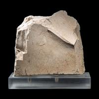 An Egyptian Painted Limestone Relief Fragment