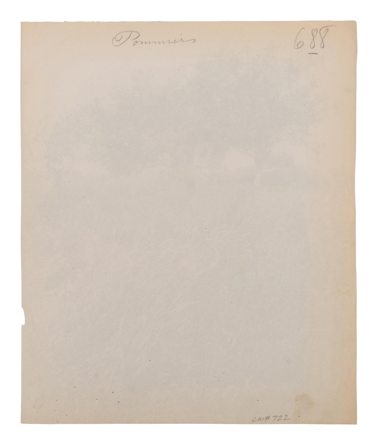 A group of four photographs ( Cactus [Nice], before 1900 ; Pommiers [et blés] , 1910 or earlier; Sapin ([Petit] Trianon , 1910 or earlier; Palmier , before 1900)