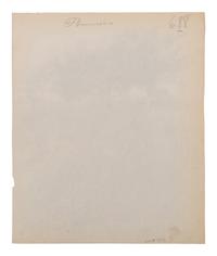 A group of four photographs ( Cactus [Nice], before 1900 ; Pommiers [et blés] , 1910 or earlier; Sapin ([Petit] Trianon , 1910 or earlier; Palmier , before 1900)