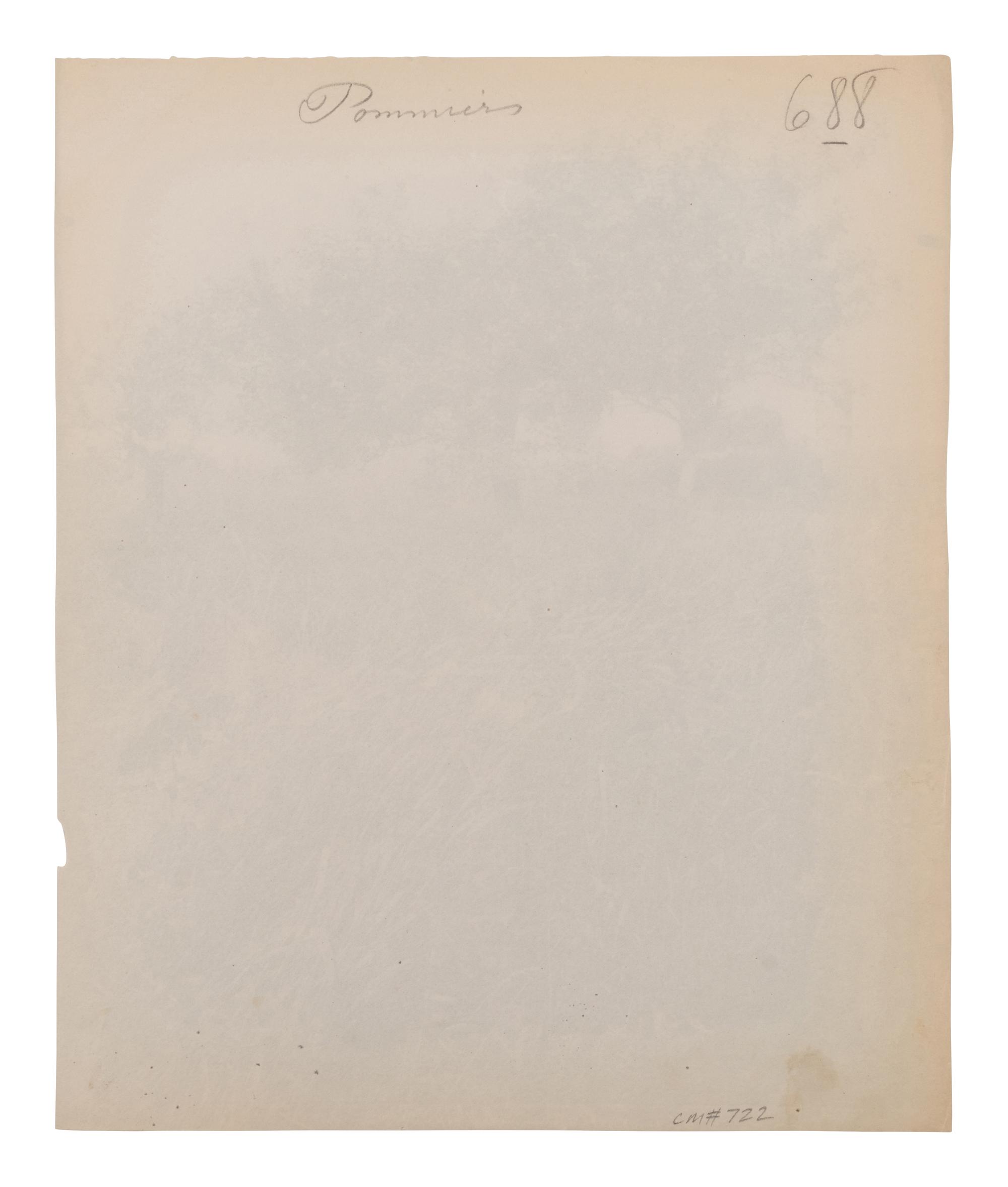 A group of four photographs ( Cactus [Nice], before 1900 ; Pommiers [et blés] , 1910 or earlier; Sapin ([Petit] Trianon , 1910 or earlier; Palmier , before 1900)