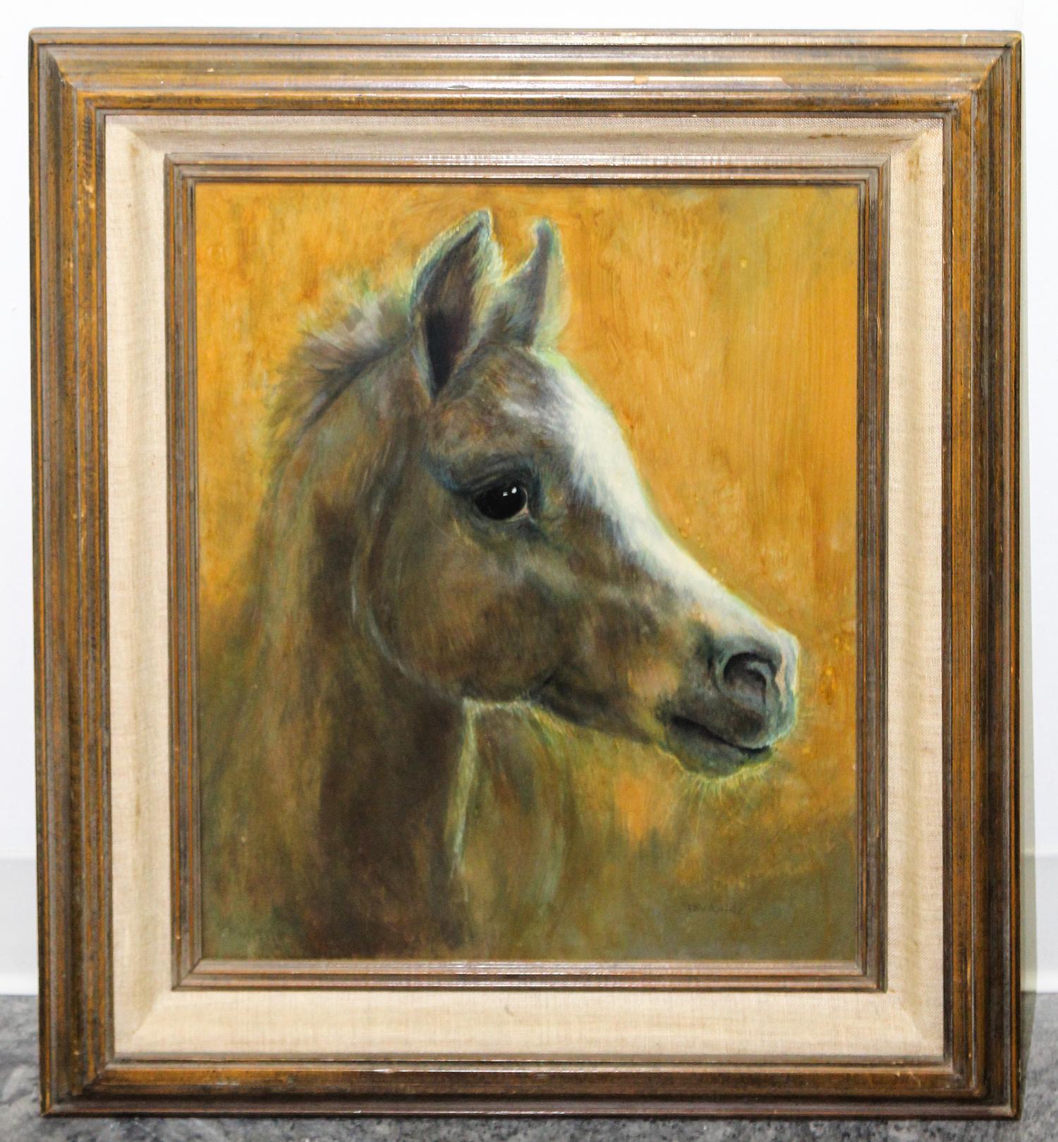 Touraine, (20th century), Profile of Horse Head