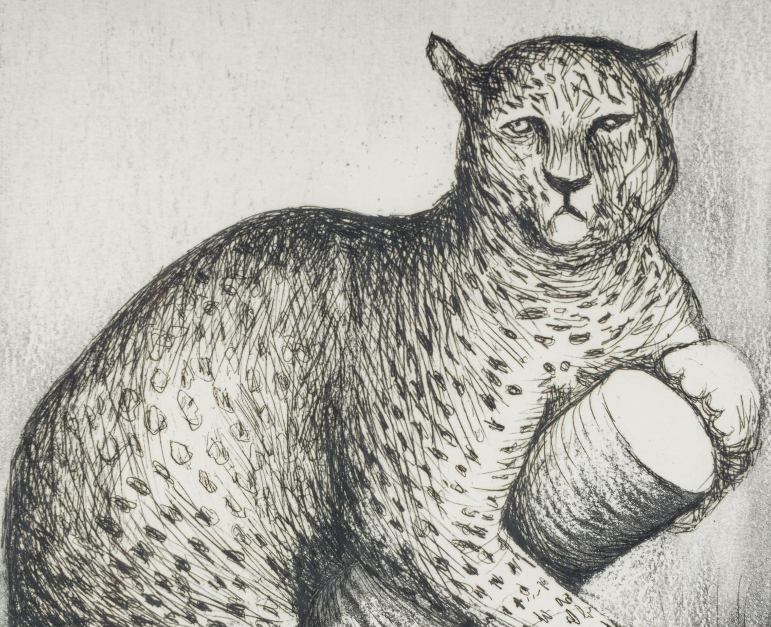 Leopard (Plate V from Animals in the Zoo ), 1981