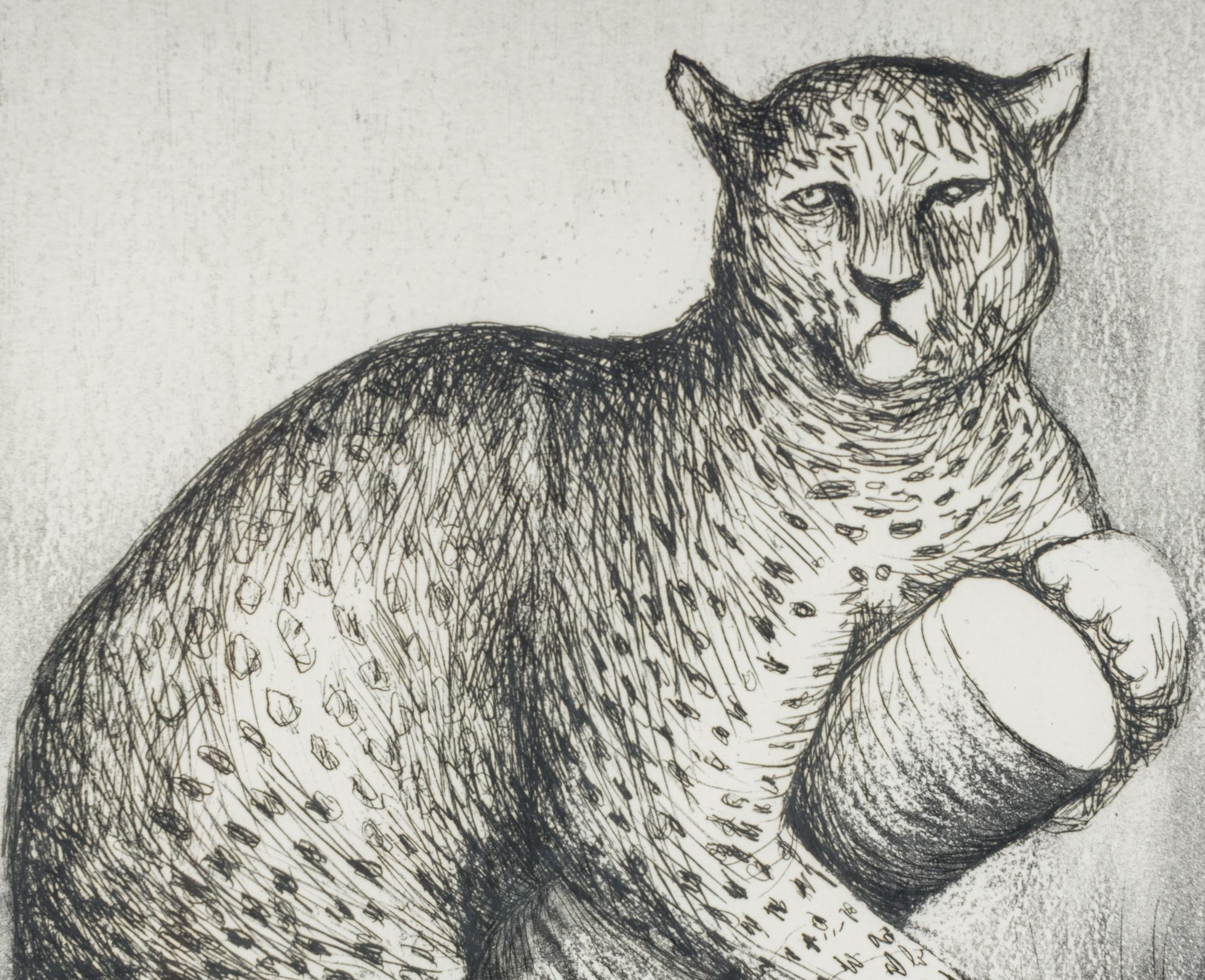 Leopard (Plate V from Animals in the Zoo ), 1981