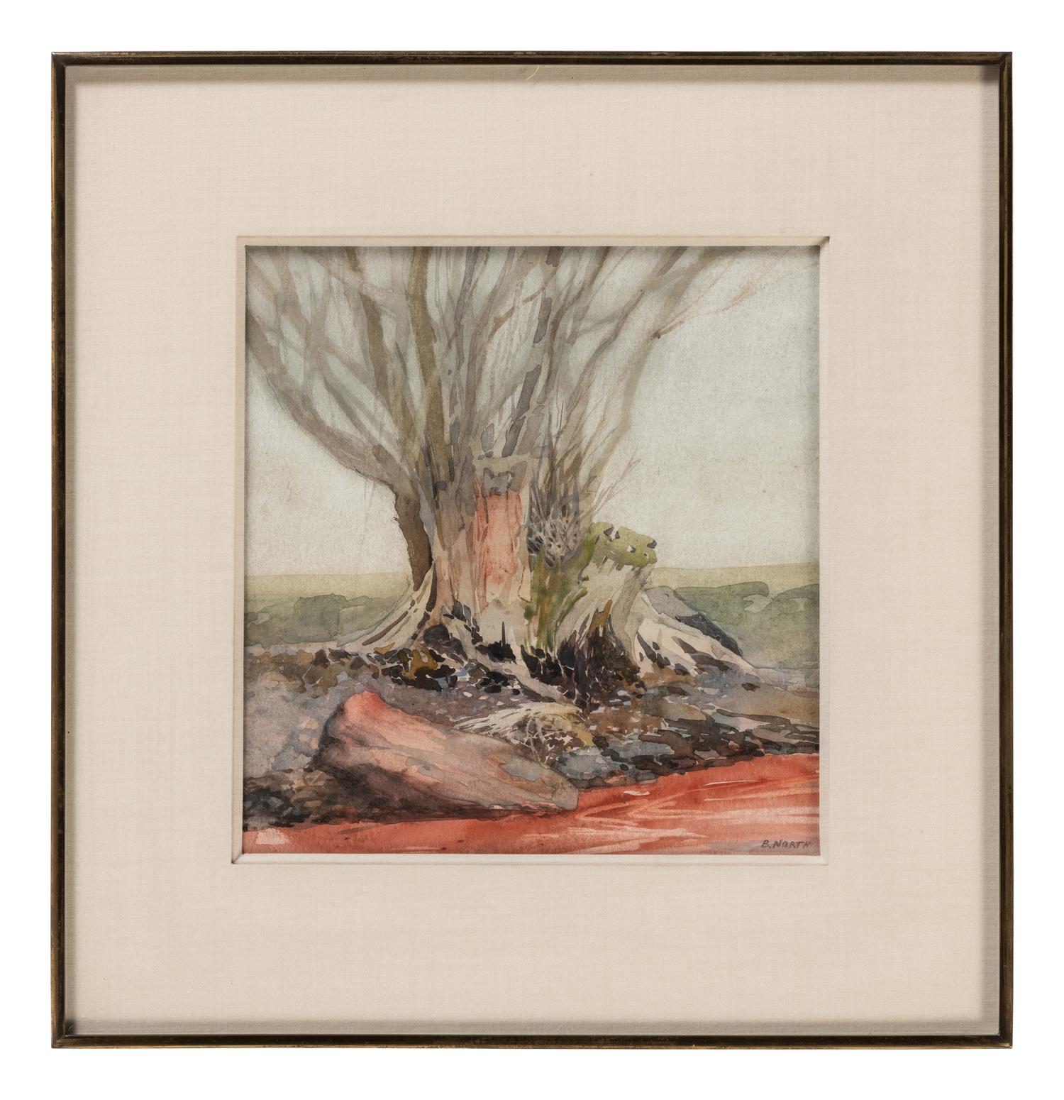 Tree Stumps