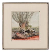 Tree Stumps