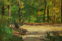 Forest Landscape