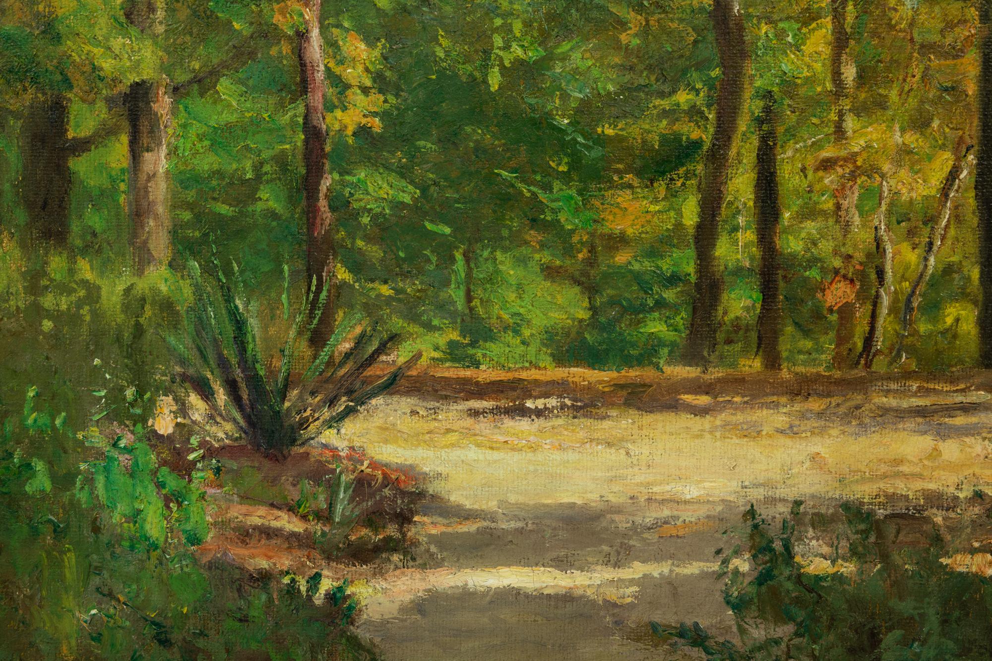 Forest Landscape