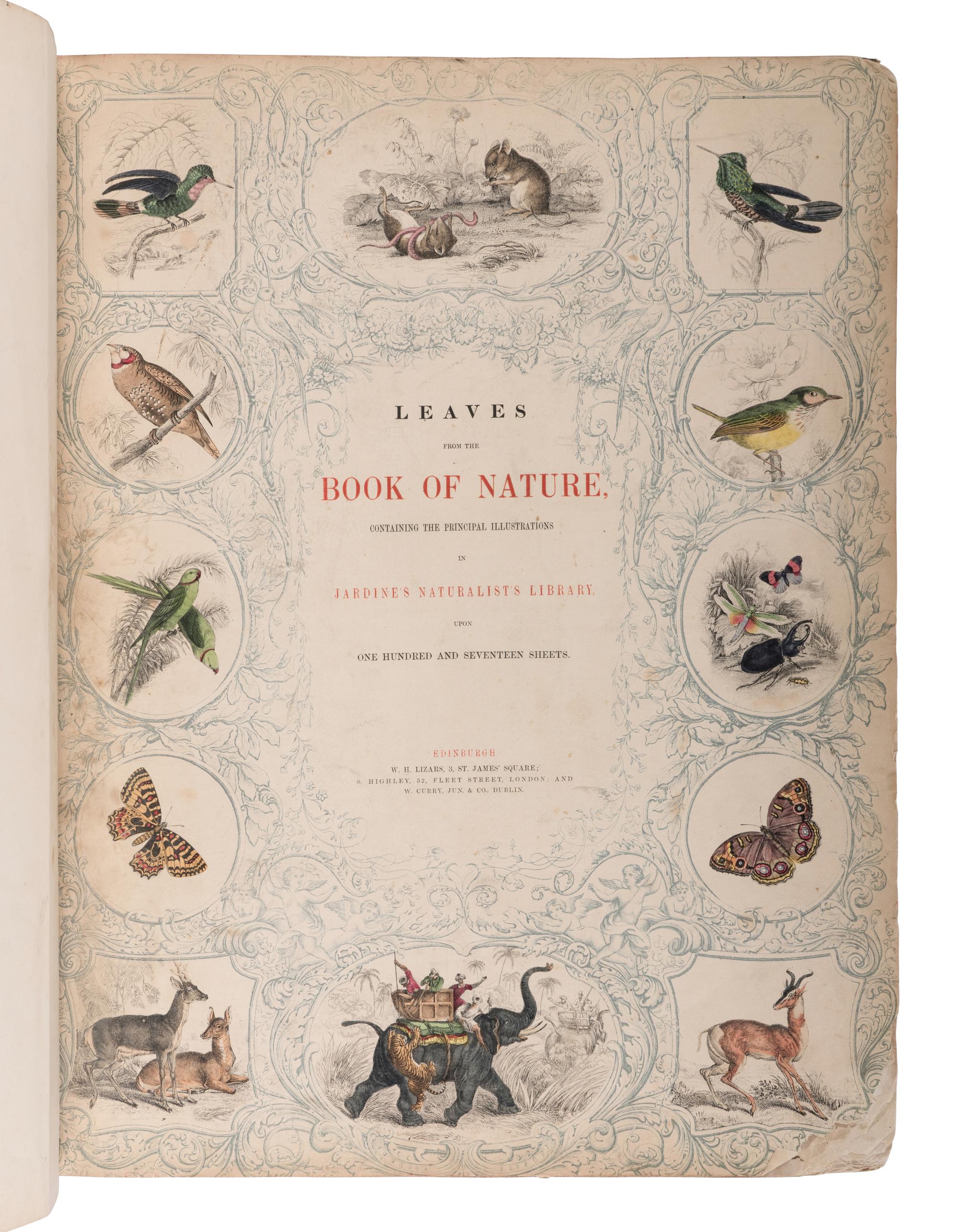 [NATURAL HISTORY]. JARDINE, William (1800-1874). Leaves from the Book of Nature, Containing the Principal Illustrations in Jardine's Naturalist's Library . Edinburgh: W.H. Lizars; London: S. Highly; Dublin: W. Curry, [1846].