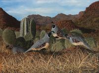 Four Quail
