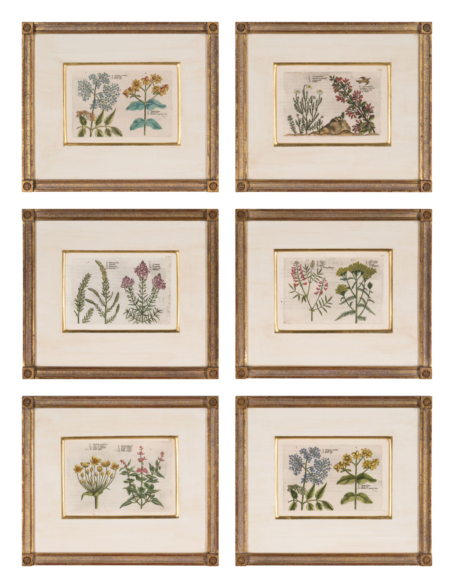 A Set of Six Framed Colored Botanical Engravings