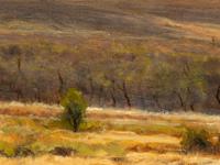 Colorado Landscape