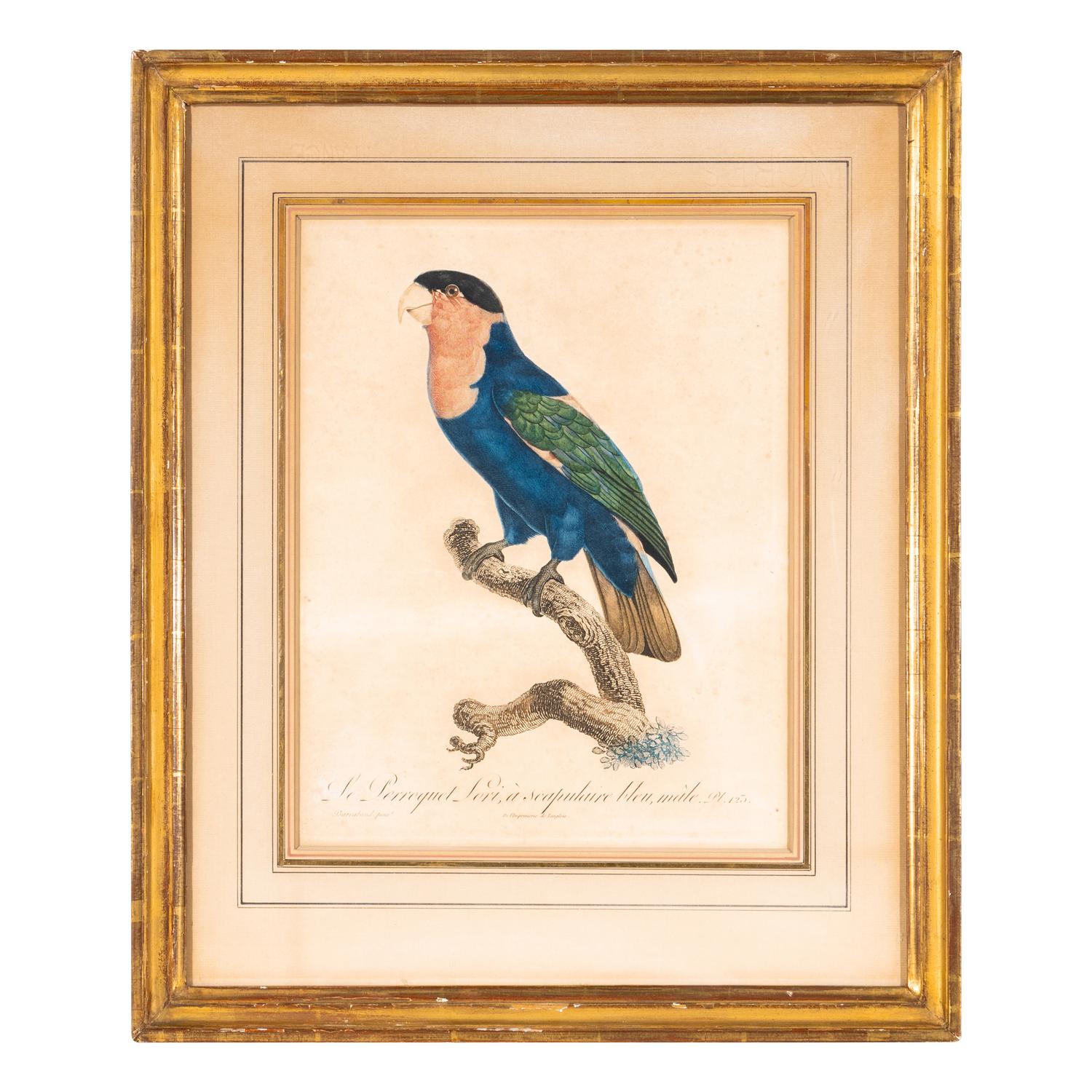 A Group of Nine Hand-Colored Engravings of Birds