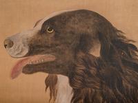 Attributed to Giuseppe Castiglione
