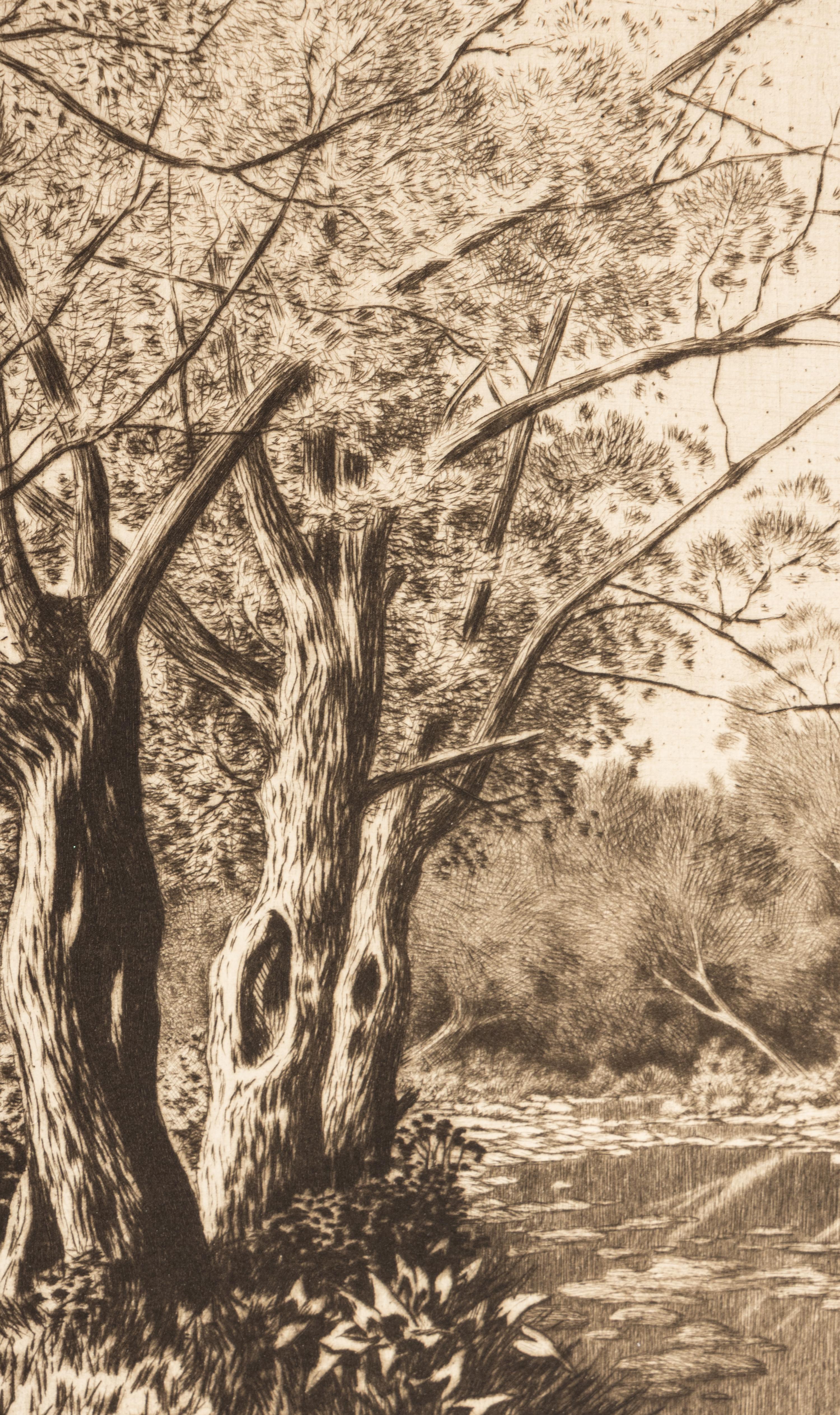 Willows