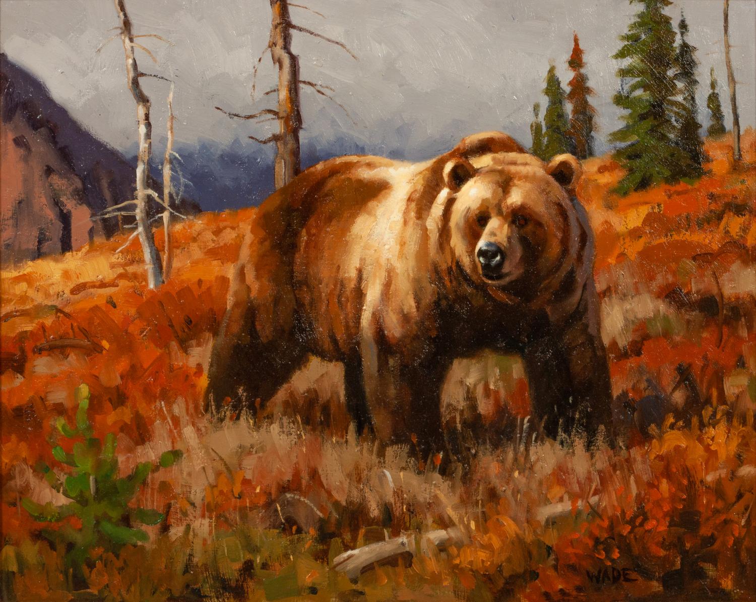 Grizzly Bear