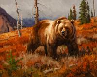 Grizzly Bear