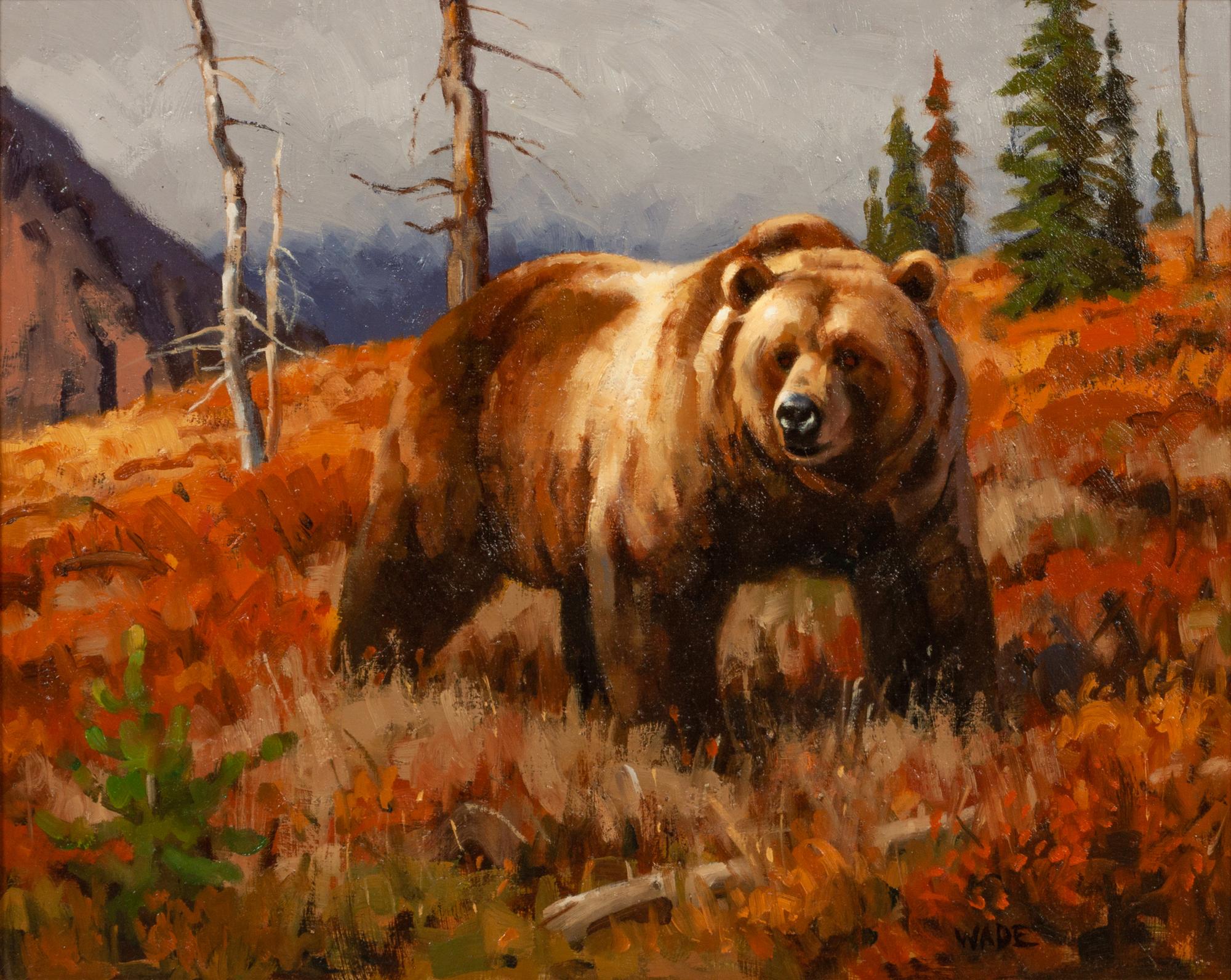 Grizzly Bear