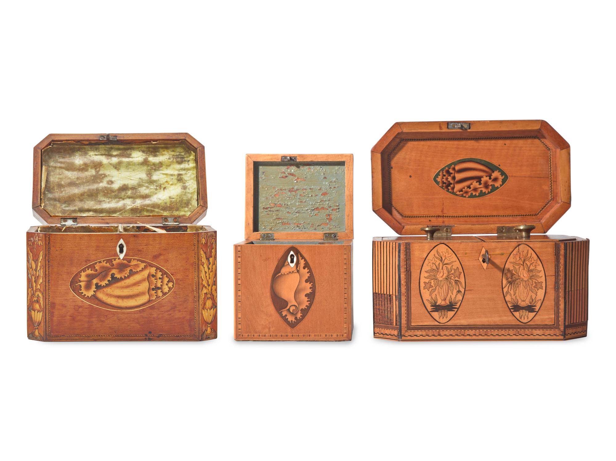 Three George III Shell-Inlaid Satinwood Tea Caddies, Late 18th / Early 19th Century
